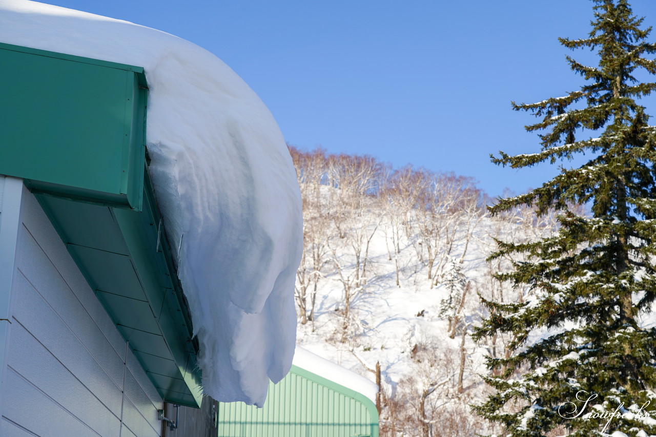 富良野スキー場 積雪100cm、オープン初日から滑走距離3,400ｍのロングダウンヒルが可能！最高のコンディションでシーズン開幕です♪